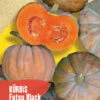 Kürbis Futsu Black | BIO Kürbissamen Von Reinsaat -Samenhaus Geschäft 535750 BIO Kuerbis Futsu Black Kue24 rs 0