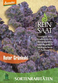 Grünkohl Roter Grünkohl | BIO Grünkohlsamen Von Reinsaat