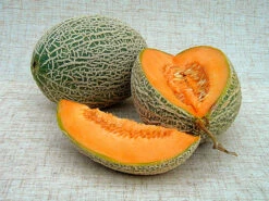 Zuckermelone Hale's Best Jumbo | BIO Zuckermelonensamen Von Reinsaat