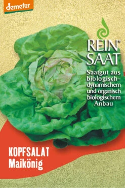 Kopfsalat Maikönig | BIO Kopfsalatsamen Von Reinsaat
