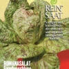 Romanasalat Forellenschluss | BIO Romanasalatsamen Von Reinsaat -Samenhaus Geschäft 535827 BIO Romanasalat Forellenschluss Sa85 rs 0