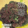 Pflücksalat Lollo Rossa | BIO Pflücksalatsamen Von Reinsaat 1 Pflücksalat Lollo Rossa | BIO Pflücksalatsamen Von Reinsaat -Samenhaus Geschäft 535832 BIO Pfluecksalat Lollo Rossa Sa31 rs 0