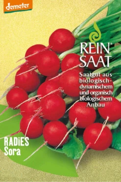 Radies Sora | BIO Radieschensamen Von Reinsaat