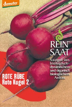 Rüben Rote Kugel 2 | BIO Rote Beetesamen Von Reinsaat