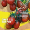 Cocktailtomate Black Plum | BIO Kirschtomatensamen Von Reinsaat 2 Cocktailtomate Black Plum | BIO Kirschtomatensamen Von Reinsaat -Samenhaus Geschäft 535875 BIO Cocktailtomate Black Plum CV28 rs 0