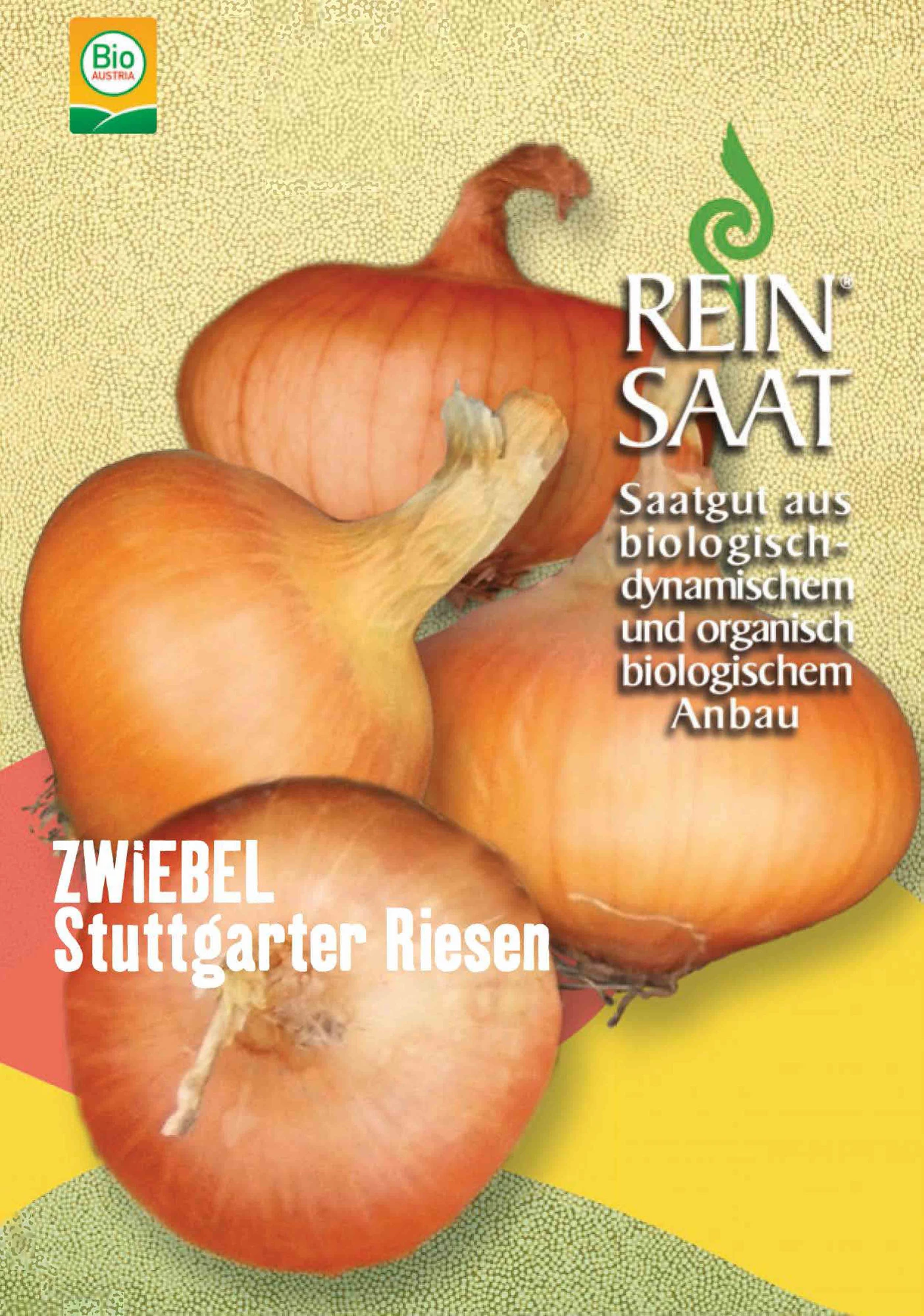 Zwiebel Stuttgarter Riesen | BIO Zwiebelsamen Von Reinsaat 3 Zwiebel Stuttgarter Riesen | BIO Zwiebelsamen Von Reinsaat