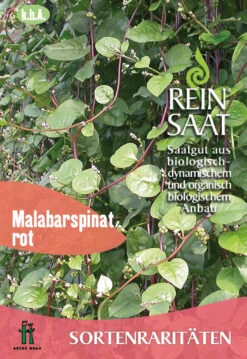 Malabarspinat | BIO Spinatsamen Von Reinsaat