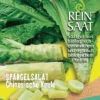 Spargelsalat Chinesische Keule | BIO Salatsamen Von Reinsaat -Samenhaus Geschäft 535908 BIO Spargelsalat Chinesische Keule CV25 rs 0