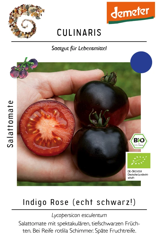 Salattomate Indigo Rose | BIO Salattomatensamen Von Culinaris 3 Salattomate Indigo Rose | BIO Salattomatensamen Von Culinaris