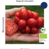 Reisetomate Voyage | BIO Reisetomatensamen Von Culinaris -Samenhaus Geschäft 536017 BIO Reisetomate Voyage 058 cs 0