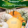 Essbare Zier- & Speisekürbis | Zierkürbissamen Von Quedlinburger 2 Essbare Zier- & Speisekürbis | Zierkürbissamen Von Quedlinburger -Samenhaus Geschäft 536818 Kuerbissamen Essbare Zier und Speisekuerbi