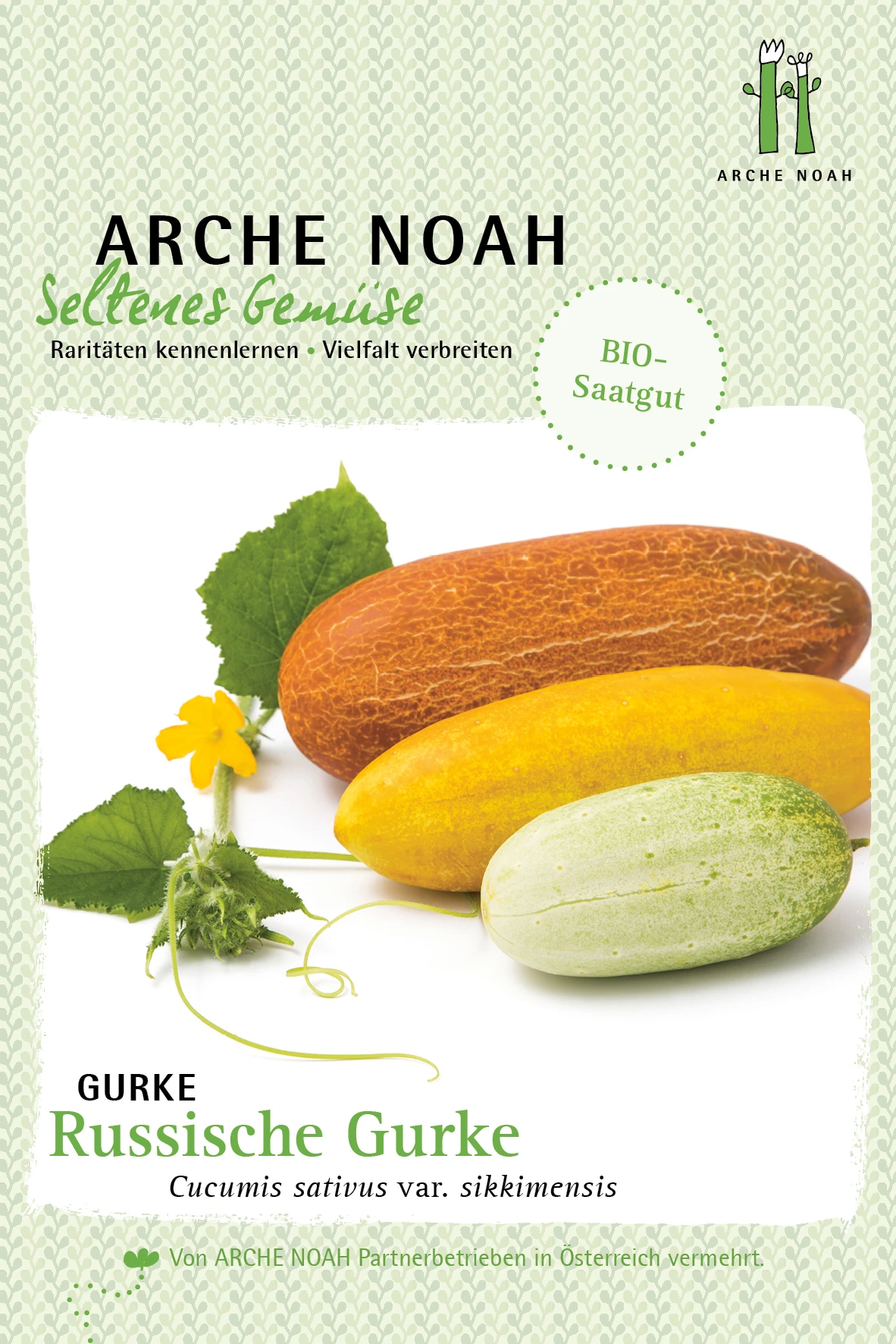 Gurke Russkaja | BIO Gurkensamen Von Arche Noah 3 Gurke Russkaja | BIO Gurkensamen Von Arche Noah