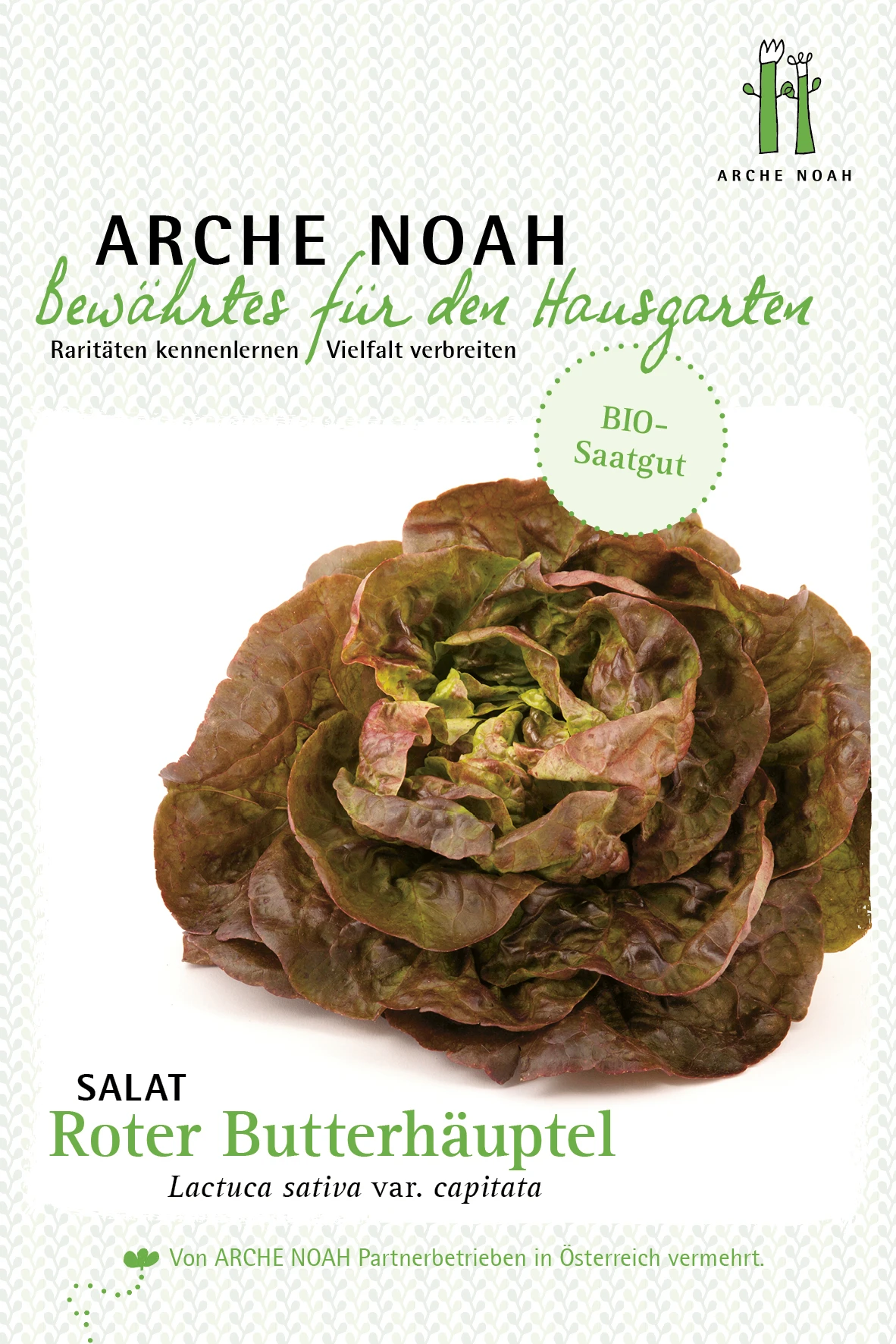Kopfsalat Roter Butterhäuptl | BIO Kopfsalatsamen Von Arche Noah 3 Kopfsalat Roter Butterhäuptl | BIO Kopfsalatsamen Von Arche Noah