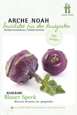 Kohlrabi Blauer Speck | BIO Kohlrabisamen Von Arche Noah