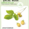 Monatserdbeere Fraise Des Bois | BIO Erdbeerensamen Von Arche Noah -Samenhaus Geschäft 536976 Monatserdbeere Fraise des Bois
