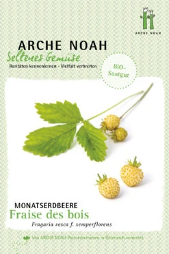 Monatserdbeere Fraise Des Bois | BIO Erdbeerensamen Von Arche Noah