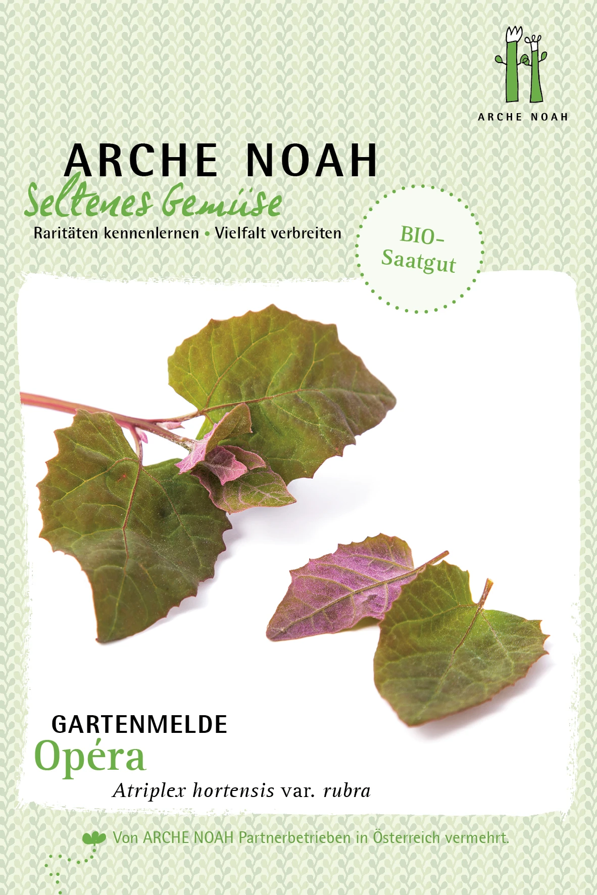Rote Gartenmelde Opera | BIO Gartenmeldesamen Von Arche Noah 3 Rote Gartenmelde Opera | BIO Gartenmeldesamen Von Arche Noah