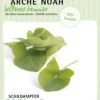 Schildampfer | BIO Schildampfersamen Von Arche Noah -Samenhaus Geschäft 536988 Schildampfer HG111