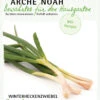 Winterheckenzwiebel Satschen | BIO Winterheckenzwiebelsamen Von Arche Noah -Samenhaus Geschäft 536998 Winterheckzwiebel Satschen
