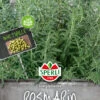 Rosmarin SimplyHerbs Multipille | Rosmarinsamen Von Sperli-Samen 1 Rosmarin SimplyHerbs Multipille | Rosmarinsamen Von Sperli-Samen -Samenhaus Geschäft 537040 Rosmarin SimplyHerbs Multipille 84570 0