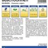 Buschbohne Modesto (120 G) | Buschbohnensamen Von Kiepenkerl 2 Buschbohne Modesto (120 G) | Buschbohnensamen Von Kiepenkerl -Samenhaus Geschäft 537054 Buschbohne Modesto 120g Packung 1