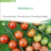 Cherrytomate Primabella | BIO Kirschtomatensamen Von Sativa Rheinau -Samenhaus Geschäft 537129 BIO Cherrytomate Primabella to30 sr 0