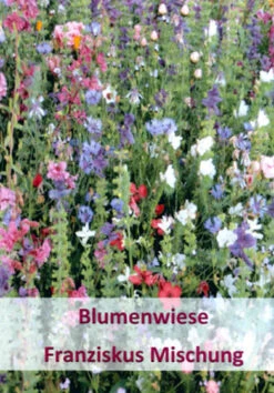 Franziskus Mischung (100 G) | Insektenwiese Von Küpper