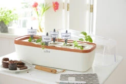 BoQube Gewächshaus &amp; Pflanzkasten L Creme-kupfer | Zimmergewächshäuser Von Romberg -Samenhaus Geschäft 539701 BoQube Gewaechshaus und Pflanzkasten L creme kupfer 2