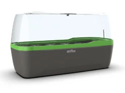 BoQube Gewächshaus &amp; Pflanzkasten L Anthrazit-grün | Zimmergewächshäuser Von Romberg -Samenhaus Geschäft 539702 BoQube Gewaechshaus Farbe anthrazit gru 4