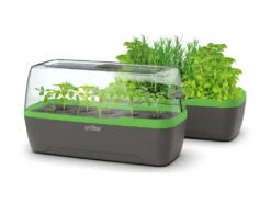 BoQube Gewächshaus &amp; Pflanzkasten L Anthrazit-grün | Zimmergewächshäuser Von Romberg -Samenhaus Geschäft 539702 BoQube Gewaechshaus Farbe anthrazit gru 5