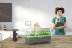 BoQube Gewächshaus &amp; Pflanzkasten L Anthrazit-grün | Zimmergewächshäuser Von Romberg -Samenhaus Geschäft 539702 BoQube Gewaechshaus Farbe anthrazit gru 6