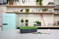 BoQube Gewächshaus &amp; Pflanzkasten L Anthrazit-grün | Zimmergewächshäuser Von Romberg -Samenhaus Geschäft 539702 BoQube Gewaechshaus Farbe anthrazit gru 7