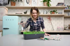 BoQube Gewächshaus &amp; Pflanzkasten L Anthrazit-grün | Zimmergewächshäuser Von Romberg -Samenhaus Geschäft 539702 BoQube Gewaechshaus Farbe anthrazit gru 8