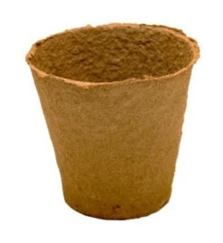 11 X 11 Cm Anzuchttopf Rund (480 Stück) | Anzuchttöpfe Von Fertil 7 11 X 11 Cm Anzuchttopf Rund (480 Stück) | Anzuchttöpfe Von Fertil -Samenhaus Geschäft 539759 11 x 11 cm Anzuchttoepfe rund 480 Stueck 519 C 0