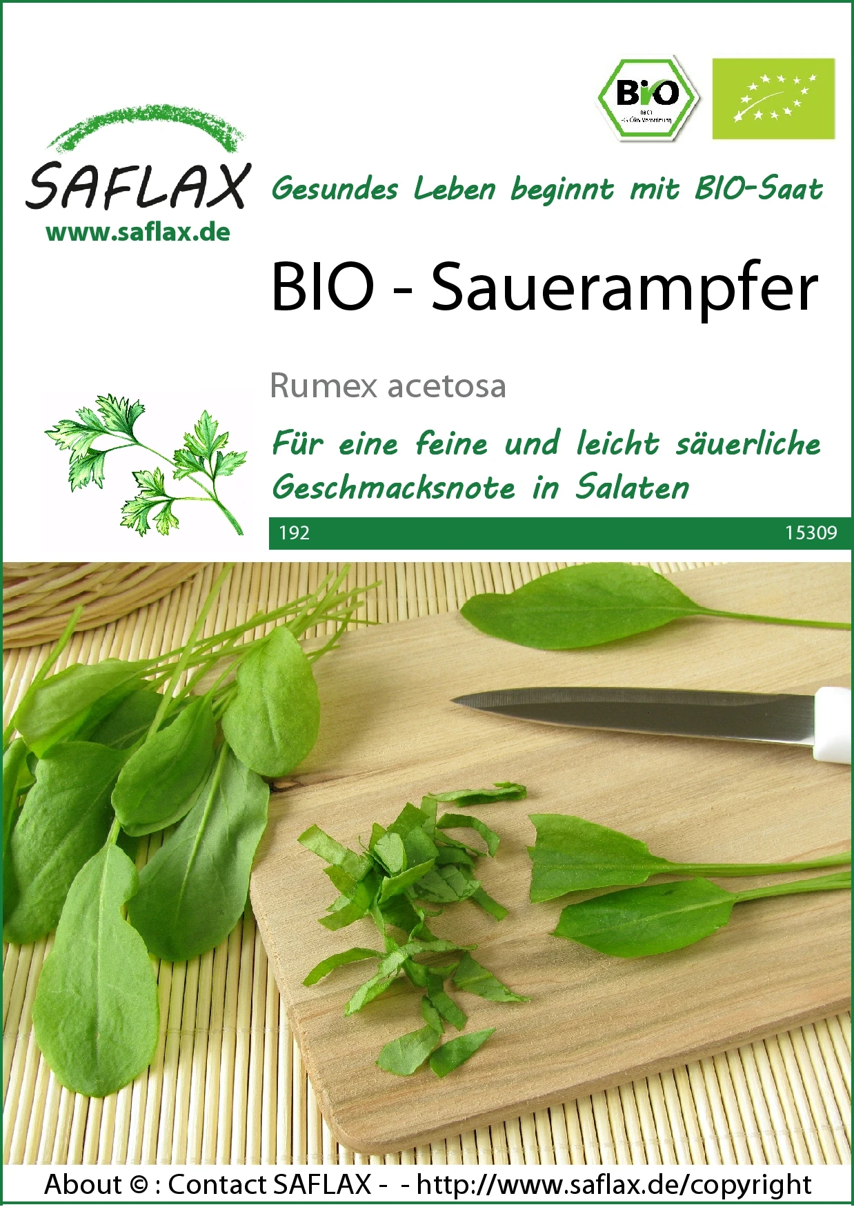 Sauerampfer | BIO Sauerampfersamen Von Saflax 4 Sauerampfer | BIO Sauerampfersamen Von Saflax – Bild 2