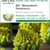 Blumenkohl Romanesco | BIO Blumenkohlsamen Von Saflax -Samenhaus Geschäft 540111 Bio Blumenkohl Romanesco 18661 sa 0
