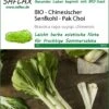 Chinesischer Senfkohl Pak Choi | Pak Choisamen Von Saflax -Samenhaus Geschäft 540118 Chinesischer Bio Senfkohl Pak Choi 18702 sa 0