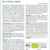 Kohlrabi Goldana | BIO Kohlrabisamen Von Saflax -Samenhaus Geschäft 540120 Bio Kohlrabi Goldana 18712 sa 1