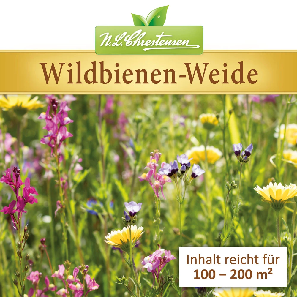 Wildbienen - Weide Im 1 L Eimer | Bienenwiese Von N.L. Chrestensen 5 Wildbienen - Weide Im 1 L Eimer | Bienenwiese Von N.L. Chrestensen – Bild 3