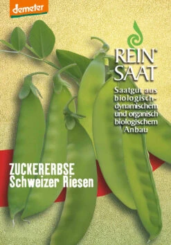 Zuckererbse Schweizer Riesen | BIO Zuckererbsensamen Von Reinsaat