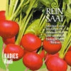 Radies Rudi (Saatband) | BIO Radieschensamen Von Reinsaat -Samenhaus Geschäft 540532 BIO Radies Rudi Saatband Ra13 rs 0