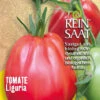 Tomate Liguria | BIO Fleischtomatensamen Von Reinsaat 2 Tomate Liguria | BIO Fleischtomatensamen Von Reinsaat -Samenhaus Geschäft 540539 BIO Tomate Liguria To38 rs 0