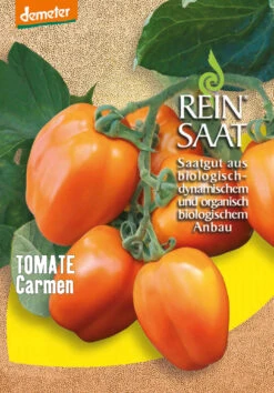 Tomate Carmen | BIO Tomatensamen Von Reinsaat