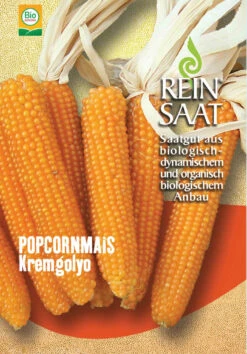 Popcornmais Kremgolyo | BIO Maissamen Von Reinsaat