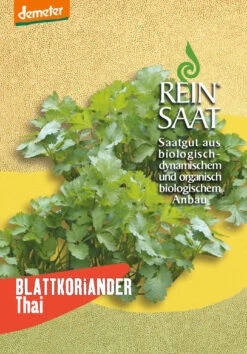 Blattkoriander Thai | BIO Koriandersamen Von Reinsaat