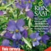 Hornveilchen | BIO Hornveilchensamen Von Reinsaat -Samenhaus Geschäft 540550 BIO Hornveilchen B75 rs 0