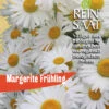 Margerite Frühling | BIO Margeritensamen Von Reinsaat -Samenhaus Geschäft 540556 BIO Margerite Fruehling B91 rs 0