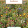 Blumenwiese Feldblumenmischung (100 G) | Blumensamen Von Bertrand -Samenhaus Geschäft 540950 Blumenwiese Landblumen 100 g