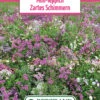 Blumenwiese Mini Teppich Zartes Schimmern (100 G) | Blumensamen Von Bertrand -Samenhaus Geschäft 540953 Blumenwiese Mini Teppich Zartes Schimmern 100 g
