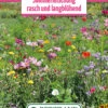 Blumenwiese Langanhaltende Sommermischung (100 G) | Blumensamen Von Bertrand -Samenhaus Geschäft 540957 Blumenwiese Sommermischung Rasch und Langbluehend 100 g